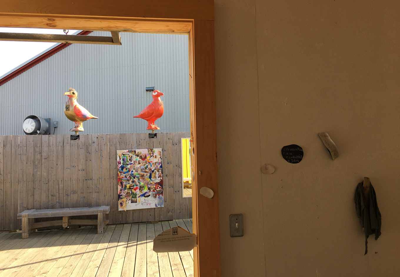 Pigeons géants entrevus par la porte de ma cabane