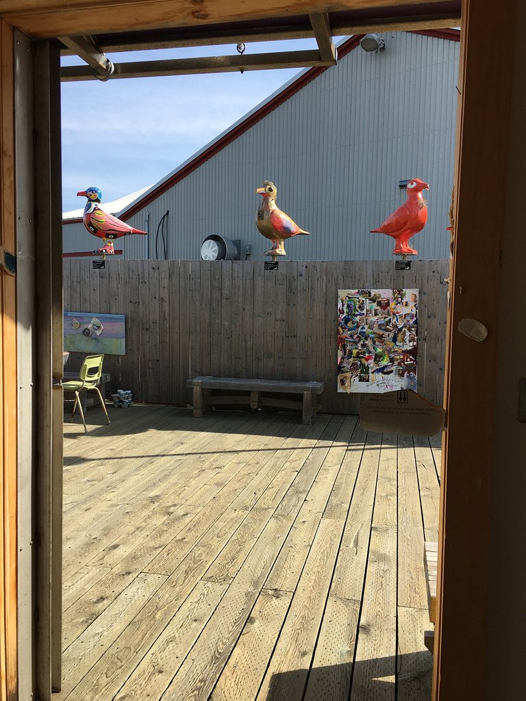Vue de l'intérieur de ma cabane