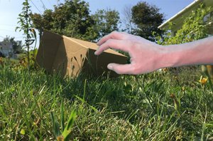 Boîte en carton - capture d'écran 