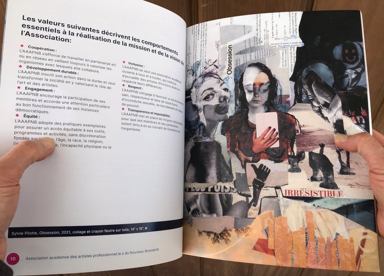 L'oeuvre Obsession en page 11 du rapport annuel de l'AAAPNB 2024